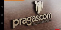 Logotipo PRAGAS.COM